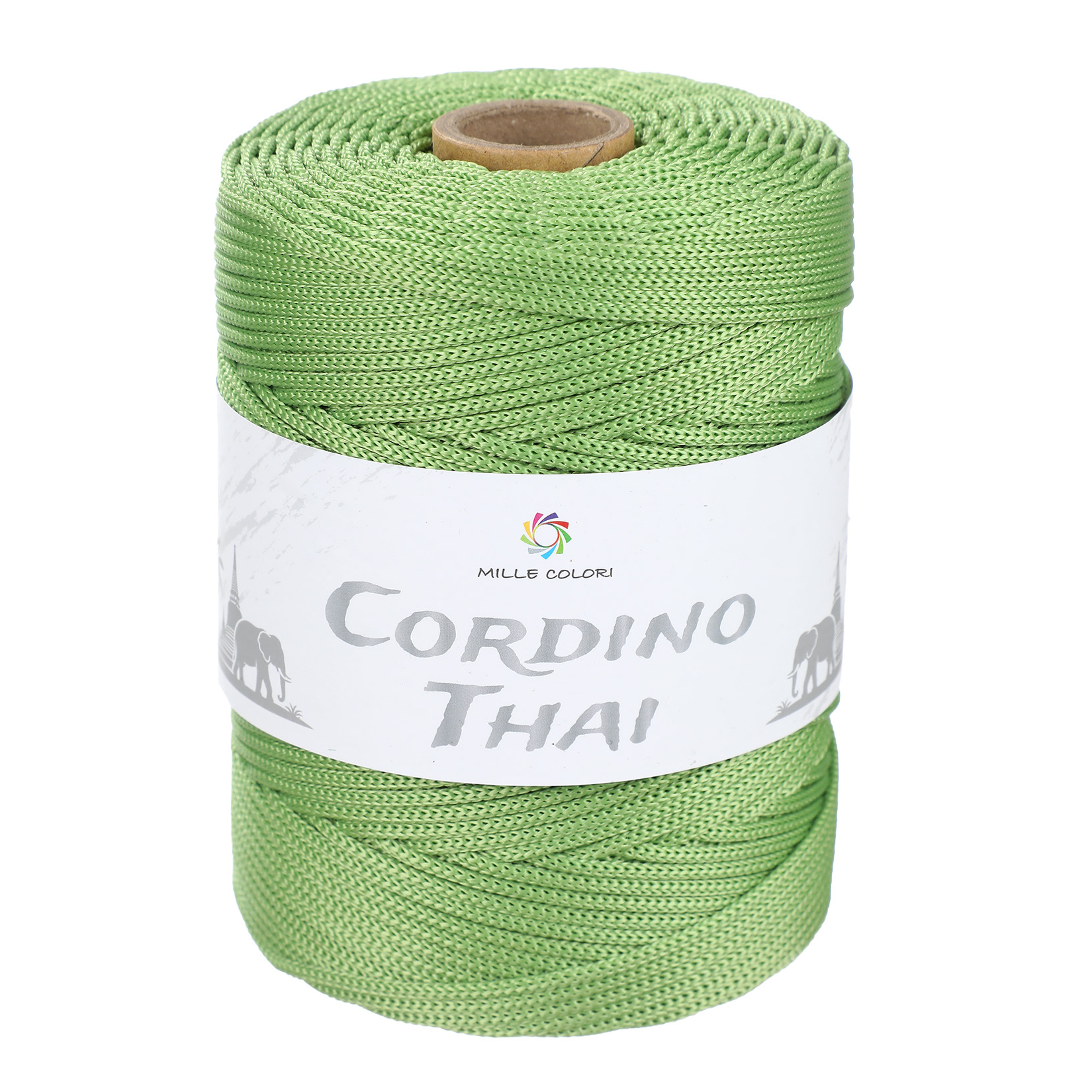 Cordino Thai 3mm 300m 400g per borse e intreccio - VERDE CHIARO