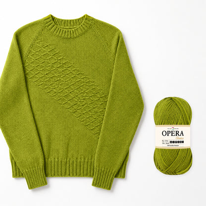 VERDE LIME – Progetto finito con prodotto